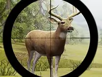 Contract Deer Hunter