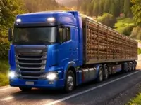 Truck Simulator: European Roads